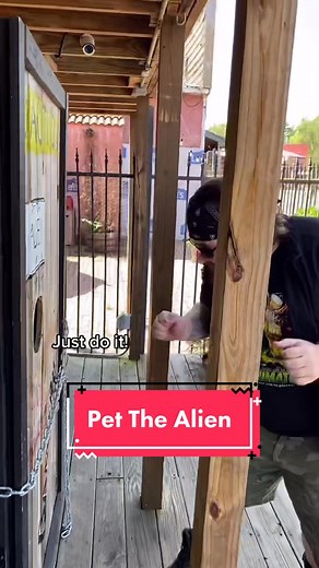 Uranus Fudge Factory on TikTok