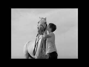 Den hvide hingst (1961) - Det første møde