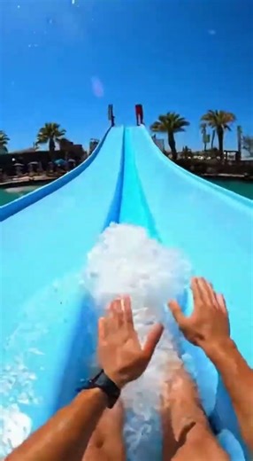 Waterslide into pool full of giant fish #funny #memes
