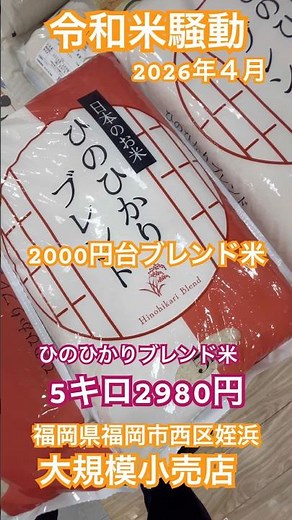 [Reiwa Rice Riot] 2kg for 2980 yen 🌾 Hinohikari Blend on sale at a large retail store in Meinoham...