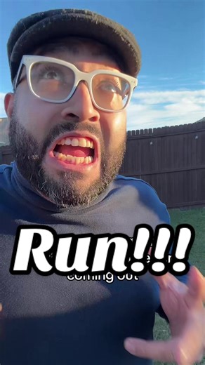 Run. It’s Godzilla, but it’s a giant Christmas tree inflatable #inflatable #christmas #godzilla #giantchristmastree