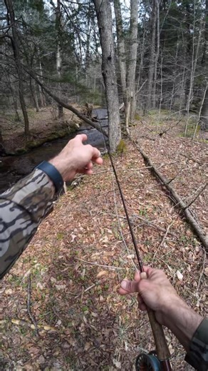 What do you think is in this brookies belly??? Caught on a Lively Legz Red Dog’s CDC Caddis. Livelylegz.com #flyfishing #euronymphing #trout #nativetrout | Lively Legz Fly Fishing