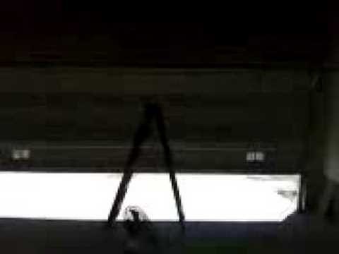 Wayne Dalton I-Drive