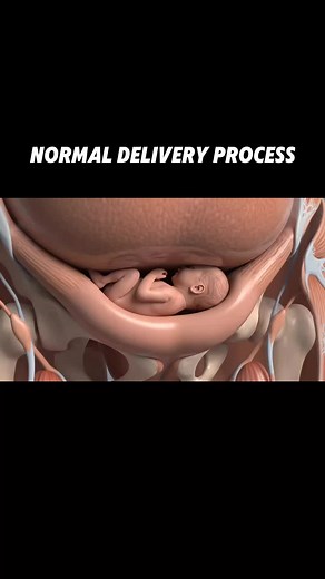 Inside View of Normal Delivery Process
