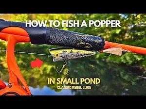 How to fish a Popper in small Pond (Classic Rebel Popper) Top Water Bass Fishing #popper #fishing