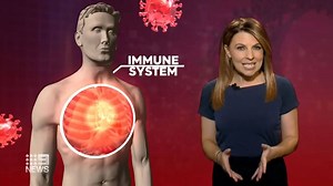 34K views · 84 reactions | Stem cells can help fight cancers and blood-related diseases; now Australian researchers are seeing whether the therapy can help battle #COVID19. #9News | Nightly at 6.00pm | 9 News | Facebook