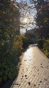 A fall stroll on campus 🍂🍁 | Villanova University Alumni Association