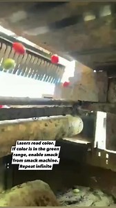 31K views · 754 reactions | Lasers read color.If color is in the green range, enable smack from smack machine.Repeat infinite | SMART Masonry | Facebook