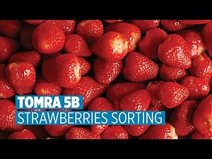 TOMRA 5B - Strawberries Sorting