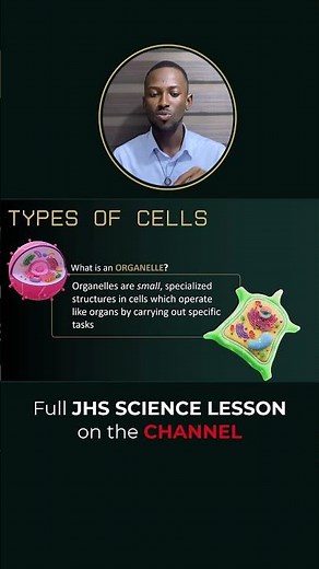 Your Body's Smallest Workers Explained #cellbiology #shorts