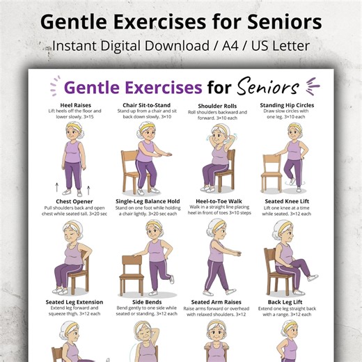 Gentle Exercises for Seniors Printable Poster, Seated and Standing Chair Exercises for Older Adults, Elderly Exercise Chart PDF for Home Use - Etsy Canada