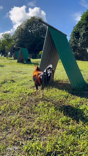 52K views · 1.6K reactions | BIDDING FOR A CAUSE We are once again...