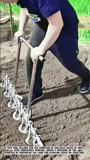 Create Planting Holes with Manual Tools | Agricultural Land Preparation #AgriculturalInnovation