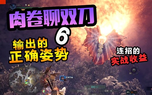 肉卷聊双刀【6】正确的输出姿势与实战收益-疾风肉卷-双剑