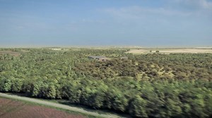 9K views · 48 reactions | Despite the coronavirus pandemic, the Woodsmith Project is progressing well. The tunnelling needed to extract the polyhalite ore is currently ahead of schedule and our first mineshaft boring machine is nearly complete. Watch the video below to learn more about our project progress and innovation. | Anglo American | Facebook