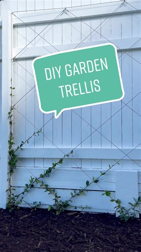 DIY Garden Trellis Ideas for Your Farmhouse Garden