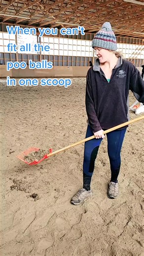 Proper Horse Poop Cleanup: A Guide for Responsible Equestrians