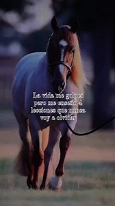 Los golpes de la vida que aprendí con los años #Puedo sorprerte con las derrotas que salí adelante #fyp #viral #instagood #instagood #cute #pazinterior🙏 #paz #pazmental #pretty #phoenix #photooftheday #paintings #awesome #amor #autoestima #autoestimayconfianza #loyalty | Juan Manuel Hernandez