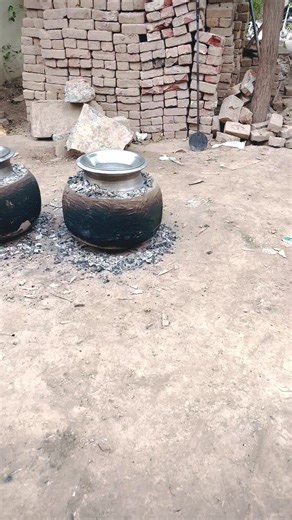 TikTok Account Growth Issues: A Plea for Help