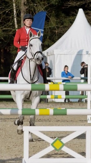 Travailler la Fluidité en saut d'obstacles Retrouvez le lien en bio Puis onglet exercices du mois #horse #horsetraining #sautdobstacles #jumping #cheval | Terre de Sport Equestre