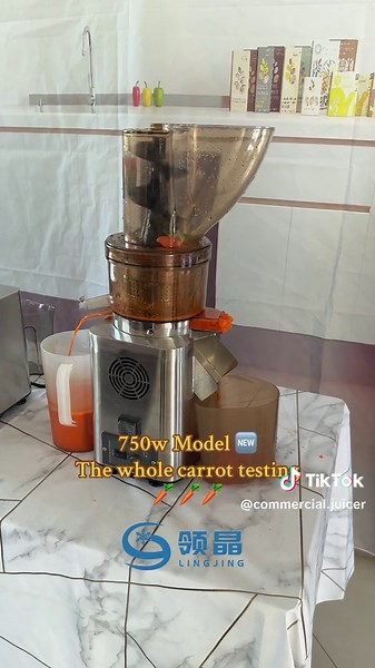 Efficient Juicing with a Heavy Duty Cold Press Juicer