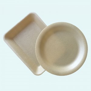 [Hot Item] Styrofoam Packaging Foam Box Disposable Food Plastic Trays Eco-Friendly Meat Tray