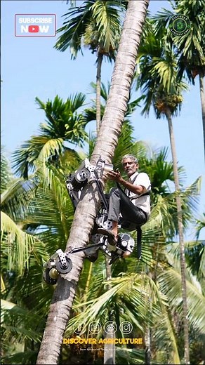 Coconut Tree Climbing Revolution #shorts | Incredible Coconut Tree Climbing Machine
