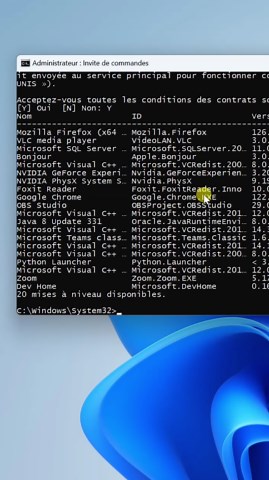 L'ingénieur Y | Mettre à jour tous les logiciels sous windows avec l'invite de commande CMD #upgrade #windows #software | Instagram