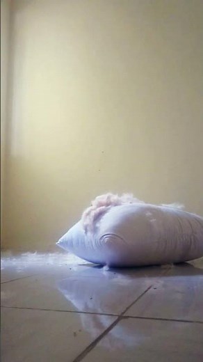 kapook pillow destruction