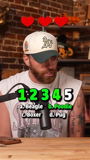 Deja vu | The podcast funny