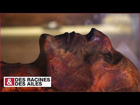 Ramsès II : la momie qui défie le temps