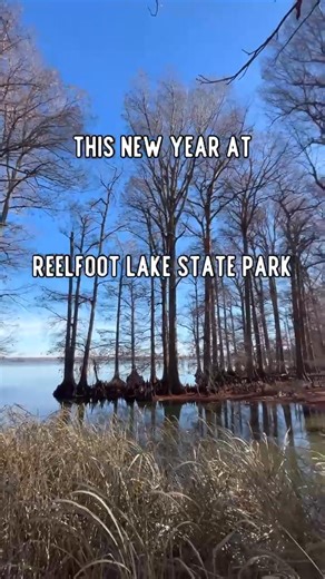 Reelfoot Lake State Park on Reels