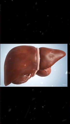 human liver in 3d #3danimation #anatomy #biology #human