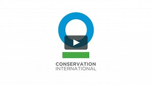 Conservation International - Logo Animation