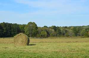 Pasture, Rangeland and Forage insurance gains ground in Michigan and nationwide