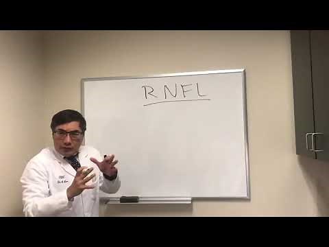 Retinal Nerve Fiber Layer (RNFL)