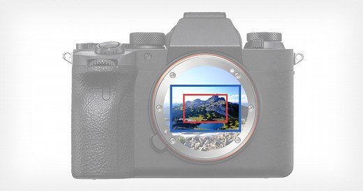What is Crop Factor? Here is What You Need to Know