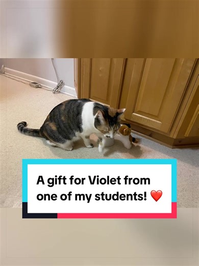 The absolute sweetest gift! One of my students from last year had a little stuffy that reminded her of Violet and she wanted her to have it!! How adorable is that!! #violetthecat #calicocat