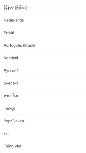 How to Change Language in CapCut Application