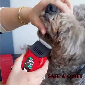 57 reactions · 17 shares | The World’s First SMART Pet Clipper for Fast Home Grooming ✅ Affordable Home Grooming ✅ Smartly Adjust To Different Types Of Hair ✅ Trim Faster. Ready For 6 Dogs & More Smart clipper is a lightweight yet powerful clipper for quick detailing and styling. Learn more: https://bit.ly/3lZHR6s | DogCare | Facebook