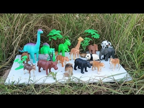 💦 Mud Bath Fun! Animals Get Washed and Move to the Garden Learn Animals for Kids