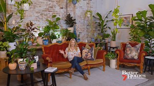 23K views · 126 reactions | How to transform a room using plants... | Better Homes and Gardens Australia | Facebook
