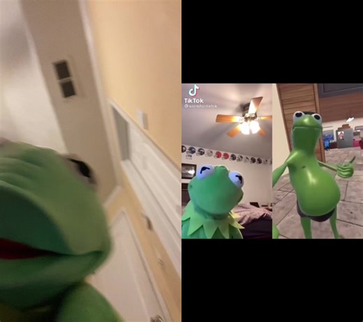 sock puppets on TikTok