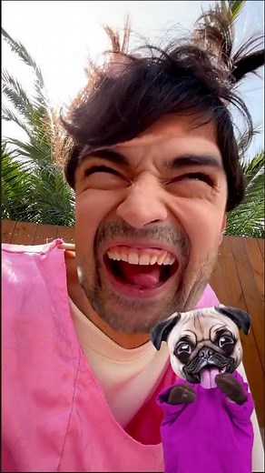 Pilih Muka Lucu! 🤪 Anjing Reaksi Konyol #anjing #lucu #reaksi