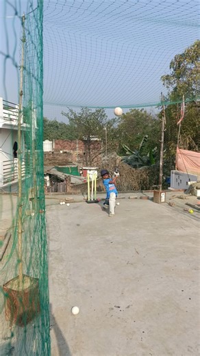 Cricket Hard Work 💯 🏏 #shorts #youtubeshorts