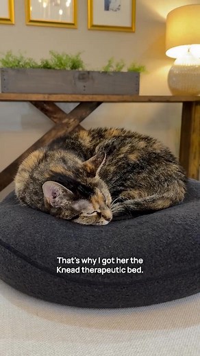 Purrfectly natural relief for arthritic cats 🐱 Invest in non-invasive, drug-free therapy from the comfort of home. Say goodbye to expensive pain-killer meds for feline arthritis. | Knead Cats