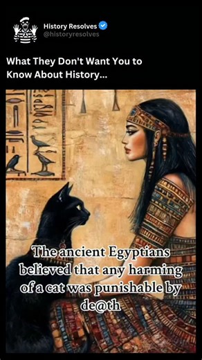 History | Ancient History on Instagram: "In ancient Egypt, cats were deeply admired and treated with exceptional care because they symbolized protection, grace, and domestic harmony, and were closely linked to the goddess Bastet, who embodied home, fertility, and gentle strength. Families welcomed cats into their households not only as affectionate companions but also as effective hunters that defended grain stores from rodents and snakes, making them vital to daily life. Their importance was so