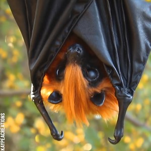 19K views · 118 reactions | Bring Bats to Life: DIY Art Doll Tutorial Partner: KaypeaCreations | Science, Tech and Universe | Facebook