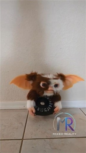 Gizmo from Gremlins Rolls the Dumbbell to Me After His Workout 😆💪