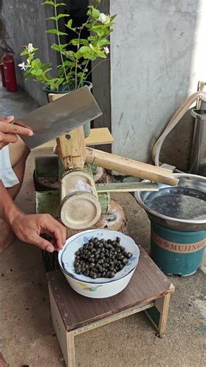 Bamboo Hole Board Safe & Efficient Artifact for Snail Tail Trimming